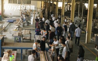 欧迪雅定制家居怎么样，欧迪雅定制家居怎么样啊